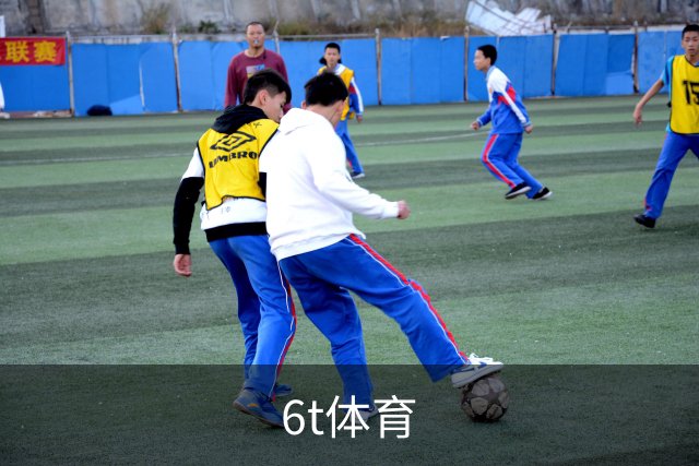 6t体育公司简介展示图